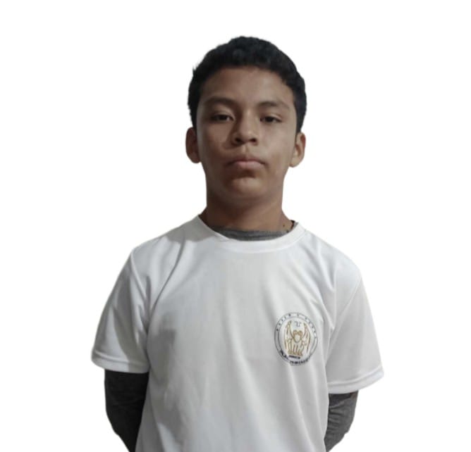 User Image