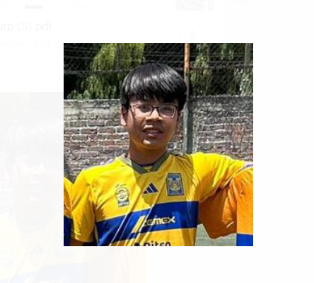 User Image
